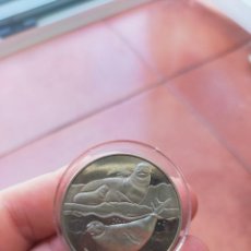 Monete antiche di Africa: MONEDA DE 2 DOS LIBRAS POUNDS 2017 TERRITORIO ANTÁRTICO BRITANICO ANTARTIDA SIN CIRCULAR FOCAS. Lote 359076140
