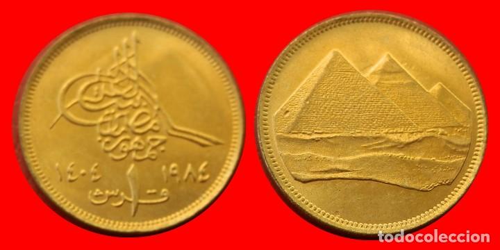 Monedas antiguas de &Aacute;frica: 1 PIASTRA 1984 ARABE SIN CIRCULAR EGIPTO-5861SC