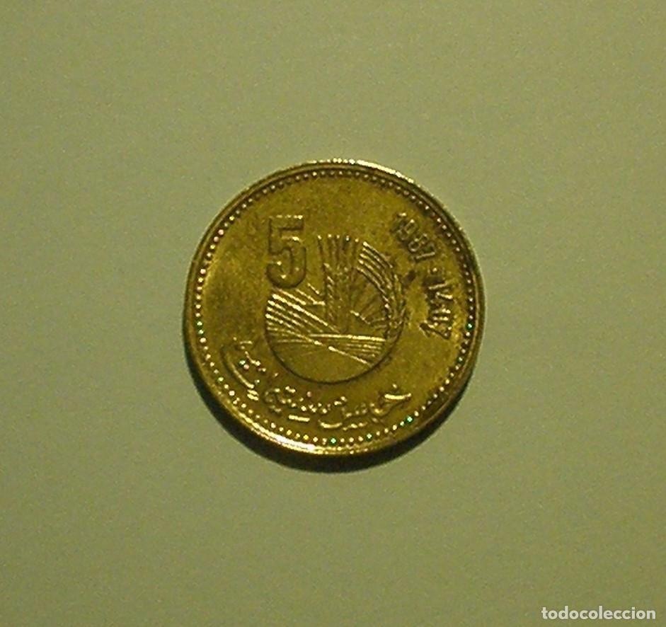Monedas antiguas de &Aacute;frica: MARRUECOS 5 DIRHAMS 1987 - MBC. - Foto 2