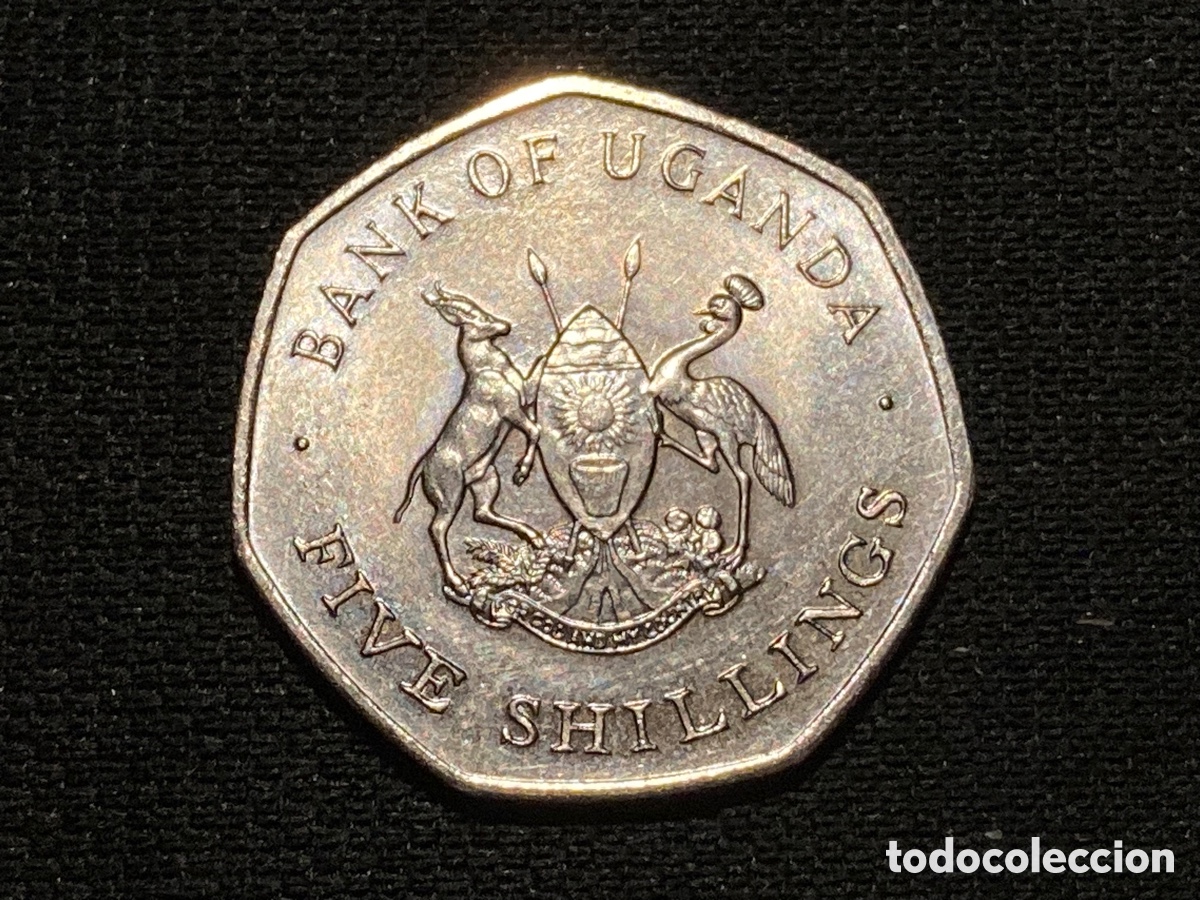 Monedas antiguas de &Aacute;frica: 5 shillings 1987 Uganda - Foto 2