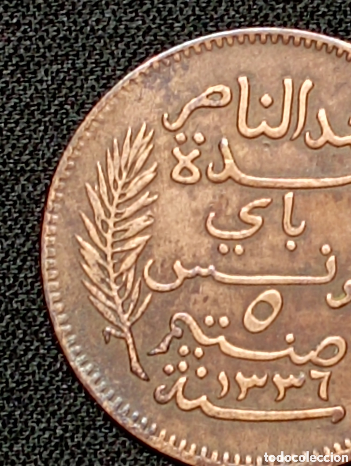 Monedas antiguas de &Aacute;frica: 5 C&eacute;ntimos de 1917 - Tunez - Foto 5