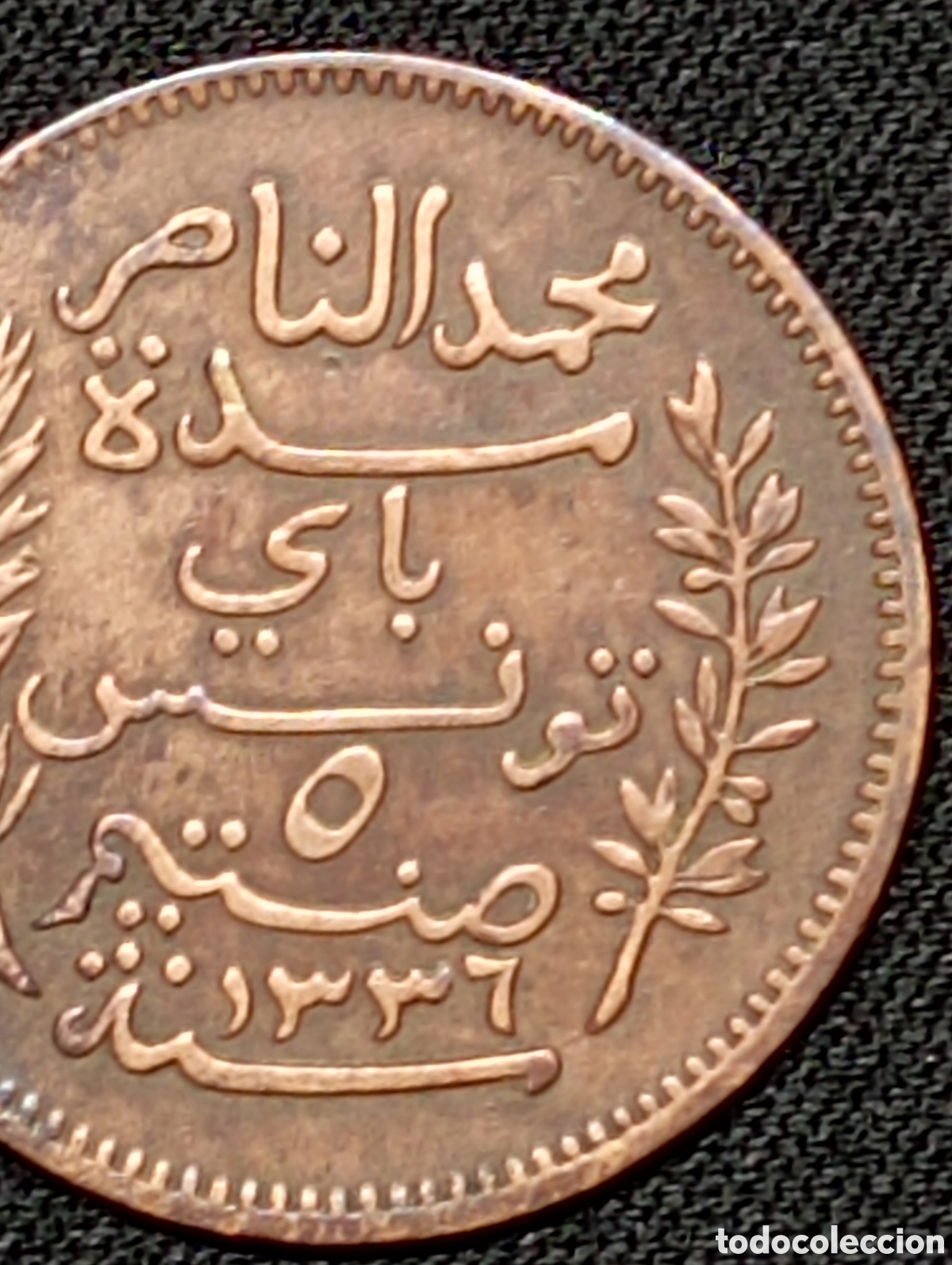 Monedas antiguas de &Aacute;frica: 5 C&eacute;ntimos de 1917 - Tunez - Foto 6
