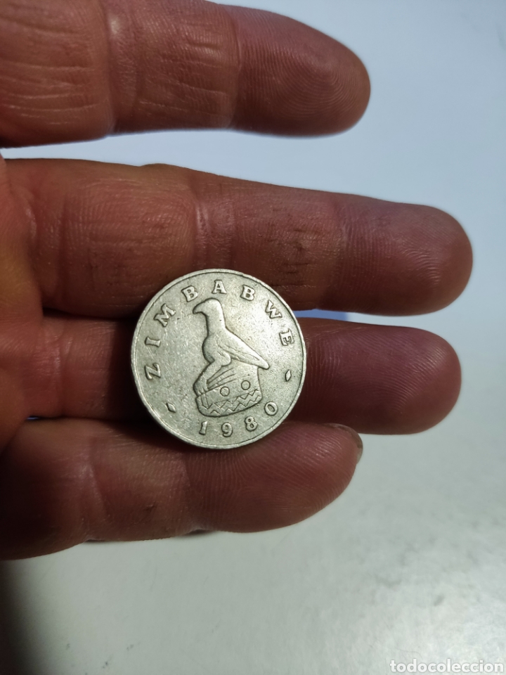 Monedas antiguas de &Aacute;frica: Moneda Zimbabwe 1980 - Foto 1
