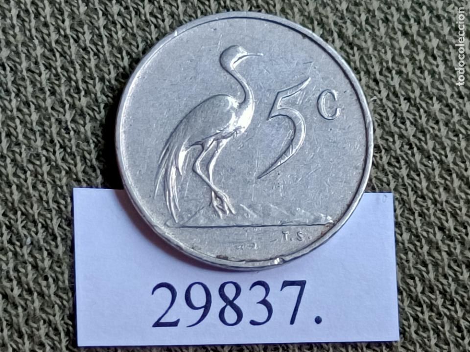Monedas antiguas de &Aacute;frica: Sudafrica 5 c&eacute;ntimos 1965 - Foto 2