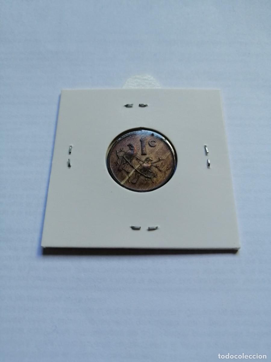 Monedas antiguas de &Aacute;frica: Sudafrica 1 Cent 1978 - Foto 2
