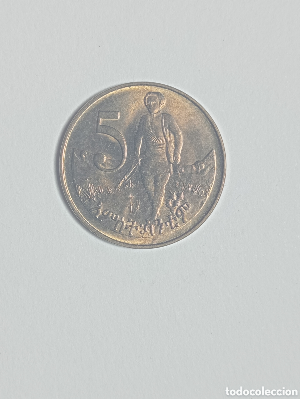 Monedas antiguas de &Aacute;frica: ETIOP&Iacute;A 5 CENT S/C 1977 - Foto 2