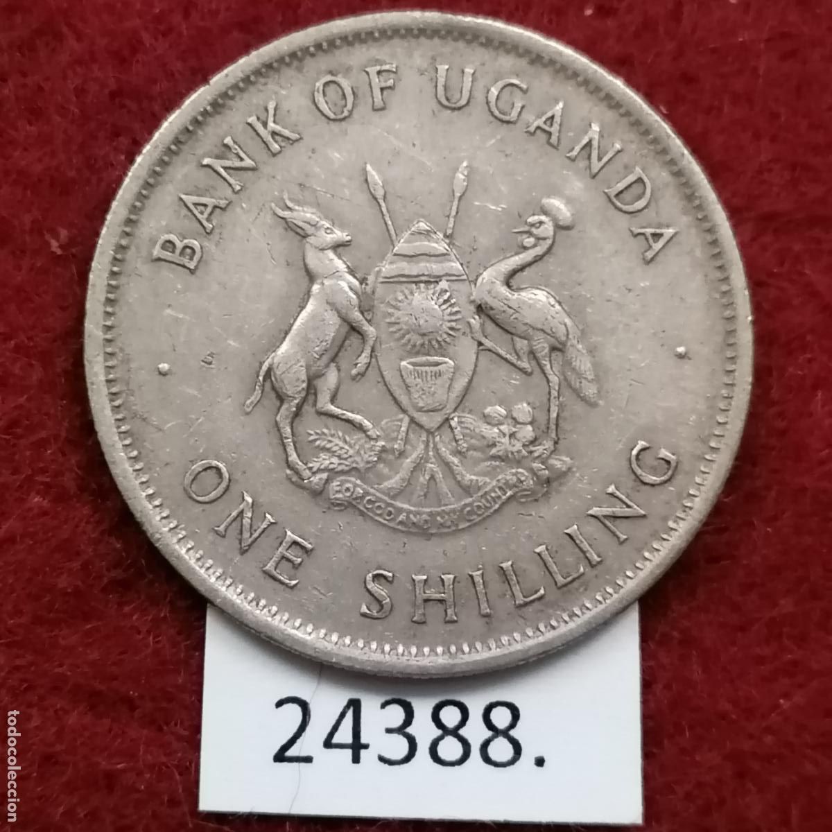 Monedas antiguas de &Aacute;frica: Uganda 1 shilling 1976 - Foto 2