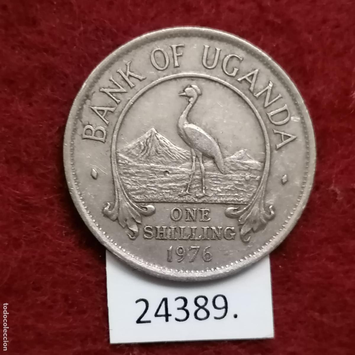 Monedas antiguas de &Aacute;frica: Uganda 1 shilling 1976 - Foto 1