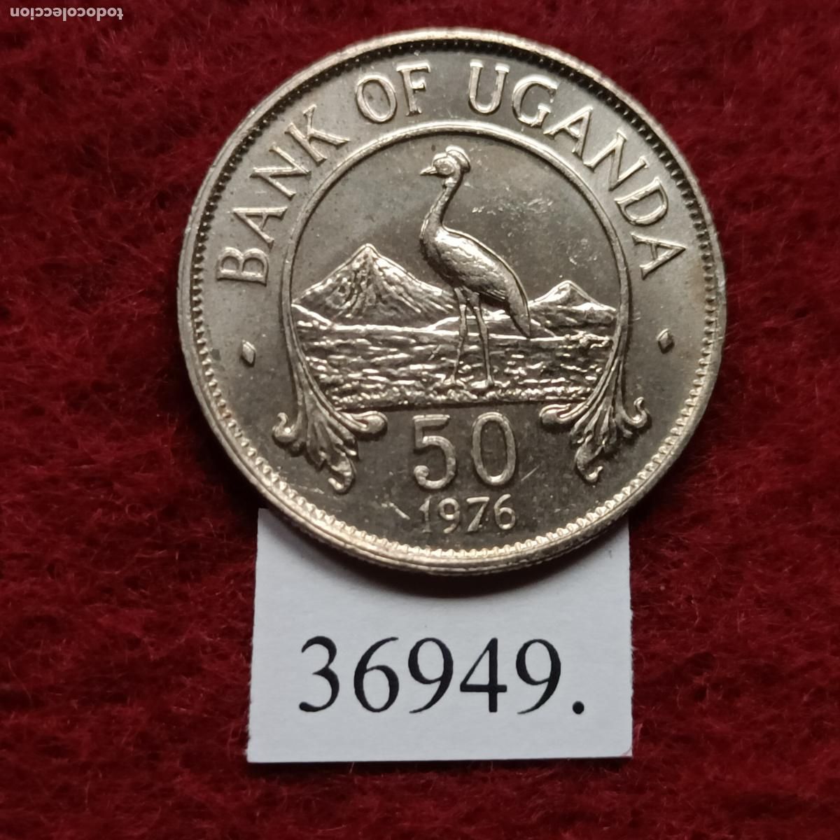 Monedas antiguas de &Aacute;frica: Uganda 50 c&eacute;ntimos 1976 - Foto 2