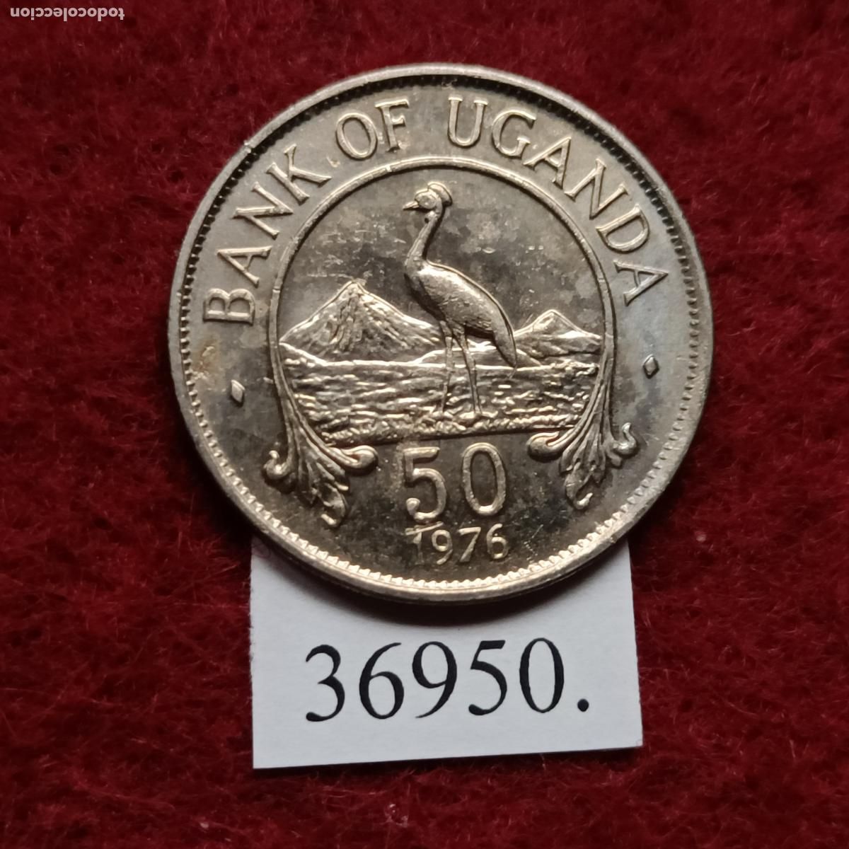 Monedas antiguas de &Aacute;frica: Uganda 50 c&eacute;ntimos 1976 - Foto 1