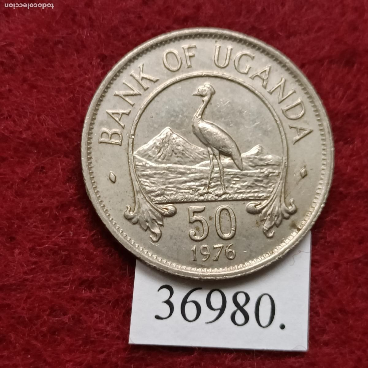 Monedas antiguas de &Aacute;frica: Uganda 50 c&eacute;ntimos 1976 - Foto 1