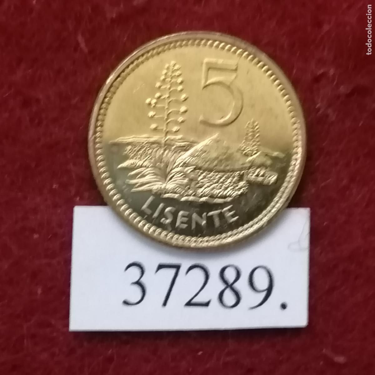 Monedas antiguas de &Aacute;frica: Lesotho 5 lisente, 2006 - Foto 1