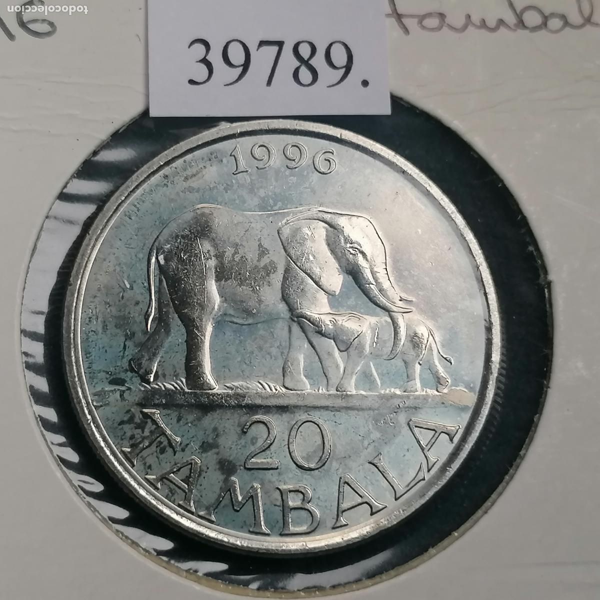 Monedas antiguas de &Aacute;frica: Malawi 20 tambala 1996 - Foto 1