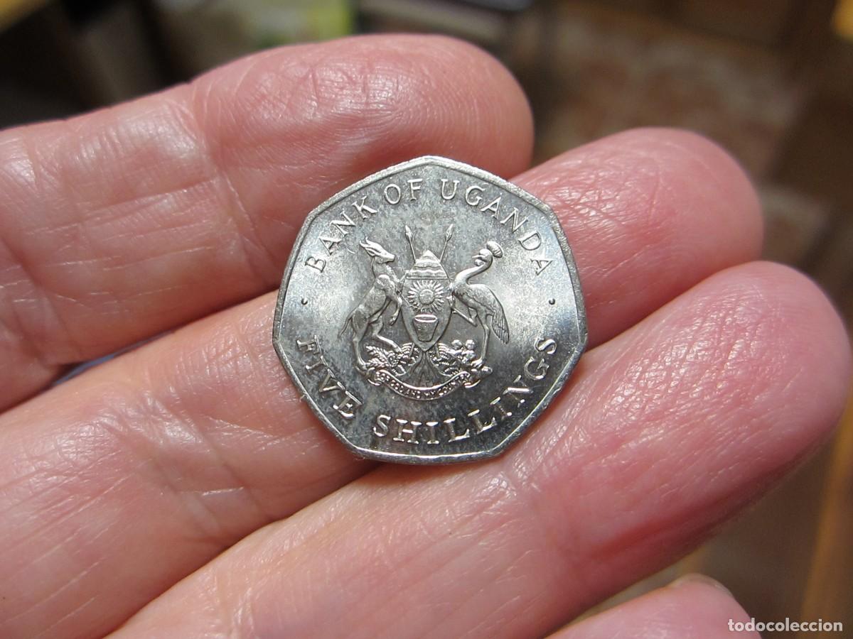 Monedas antiguas de &Aacute;frica: MONEDA DE UGANDA DE 5 SHILLING DE 1987 SC - Foto 1