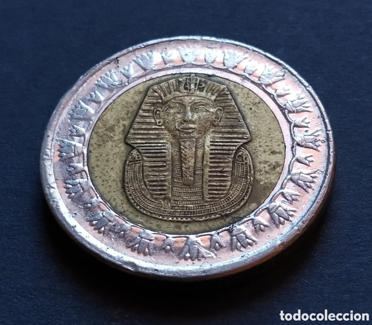 Monedas antiguas de &Aacute;frica: MONEDA - EGIPTO 1 LIBRA / POUND 2010 - Foto 3