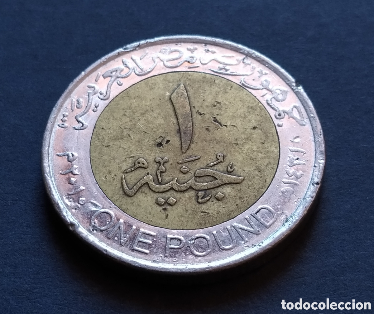 Monedas antiguas de &Aacute;frica: MONEDA - EGIPTO 1 LIBRA / POUND 2010 - Foto 4