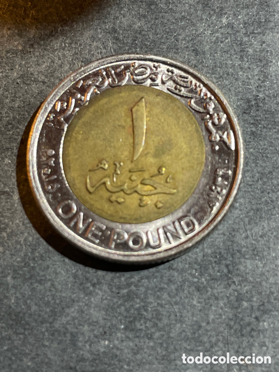 Monedas antiguas de &Aacute;frica: Egipto moneda 1 pound - Foto 2