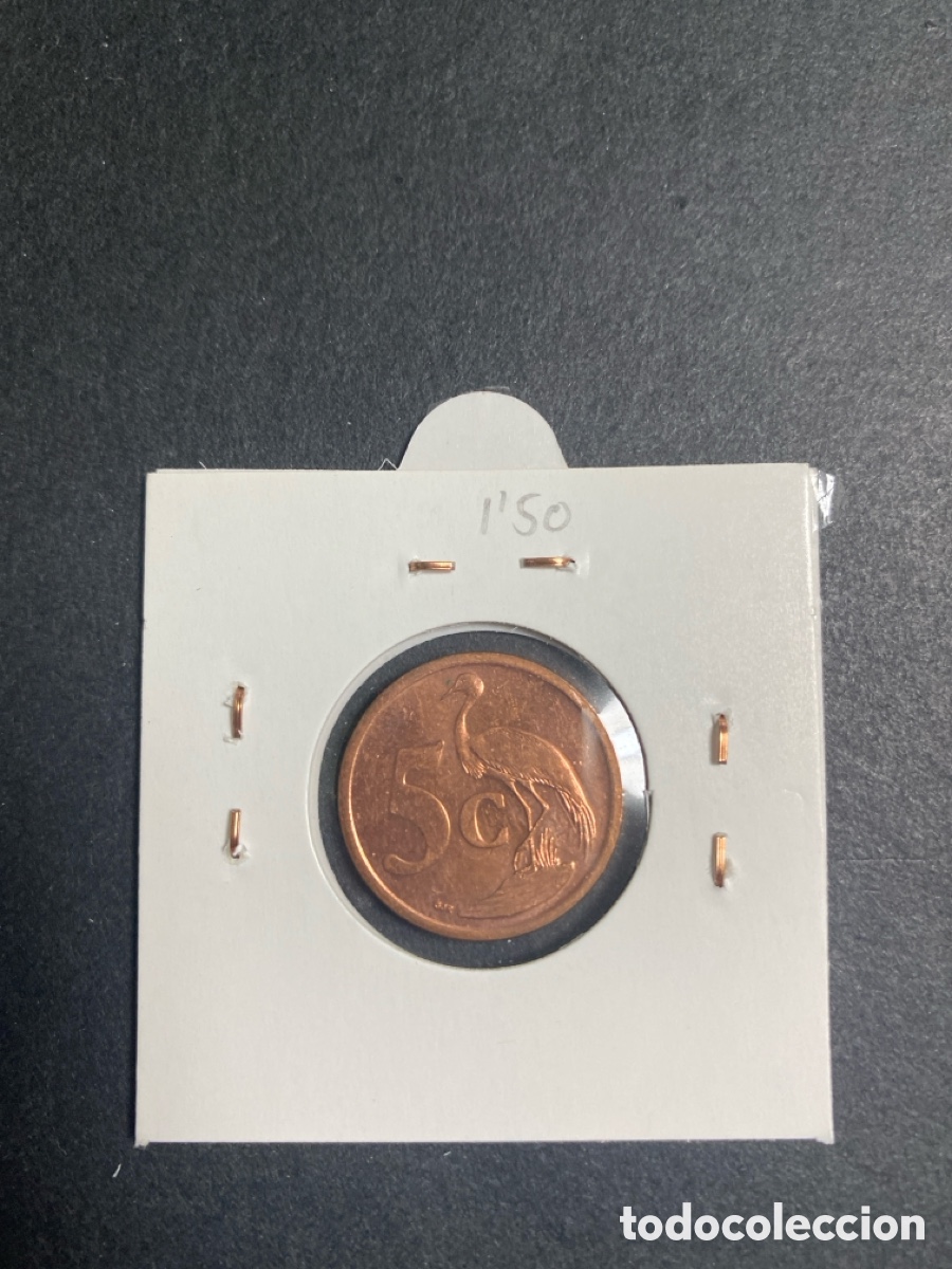 Monedas antiguas de &Aacute;frica: Moneda de Sud&aacute;frica 5 cent - Foto 2