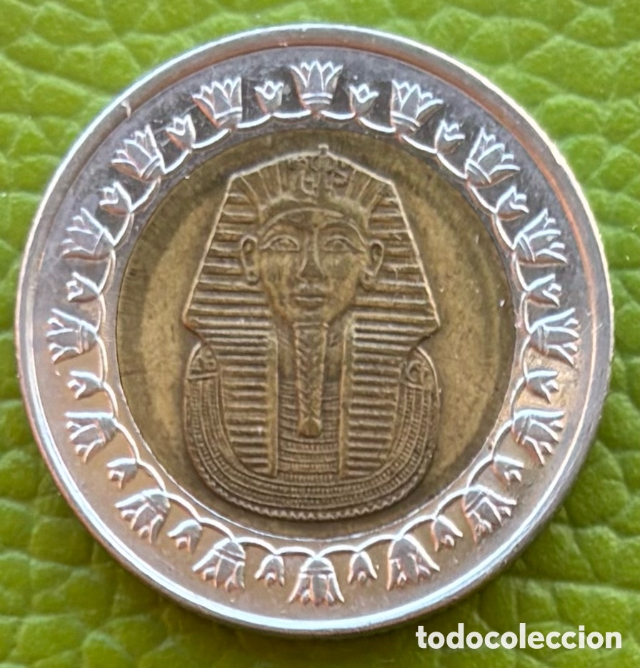 Monedas antiguas de &Aacute;frica: EGIPTO. UNA LIBRA. 2008. - Foto 1
