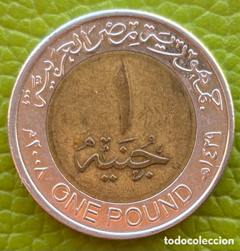 Monedas antiguas de &Aacute;frica: EGIPTO. UNA LIBRA. 2008. - Foto 2