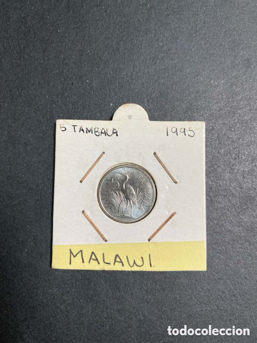 Monedas antiguas de &Aacute;frica: Moneda de Malawi 5 tambala - Foto 1