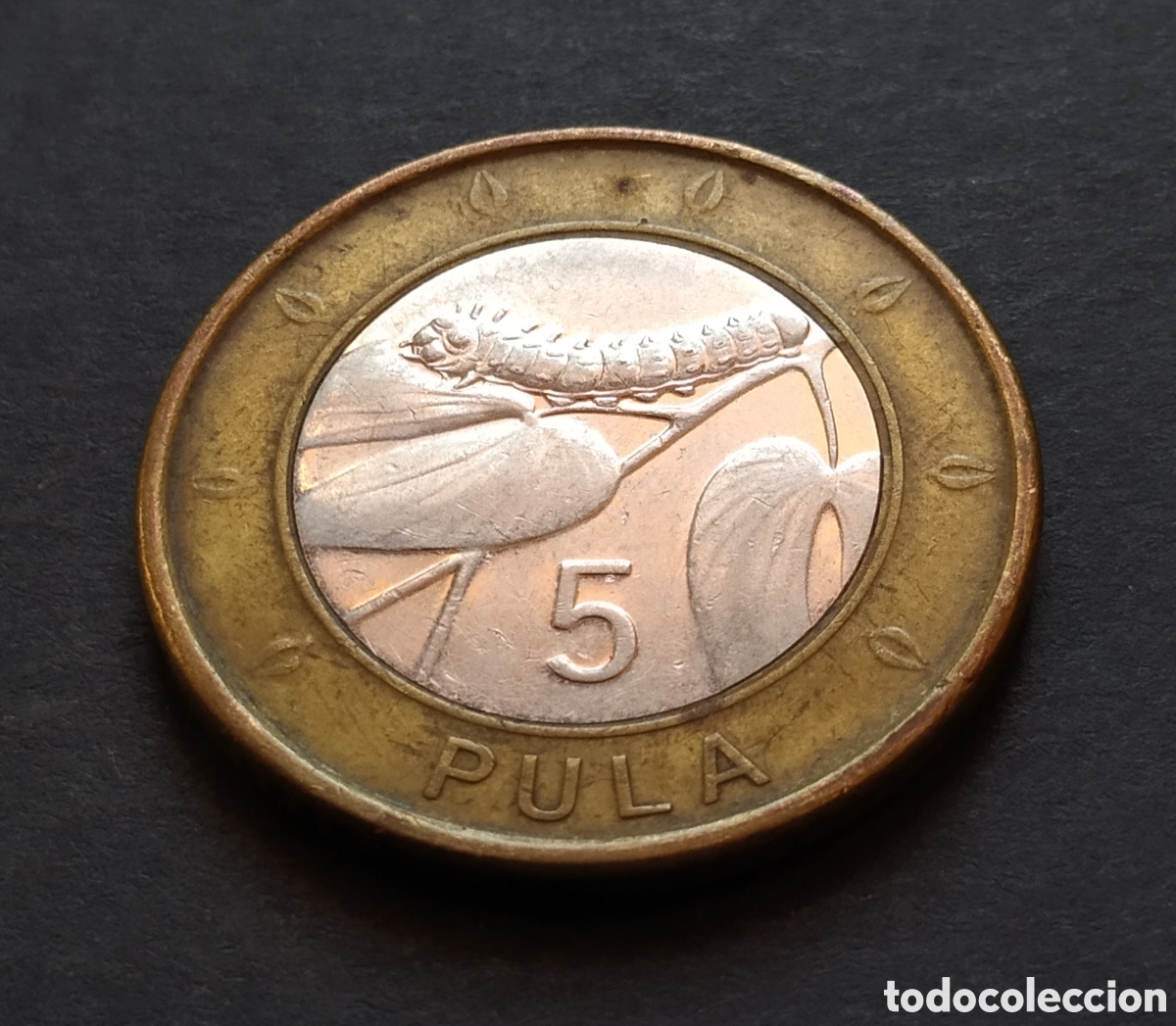 Monedas antiguas de &Aacute;frica: MONEDA - BOTSUANA / BOTSWANA 5 PULA 2013 - Foto 3