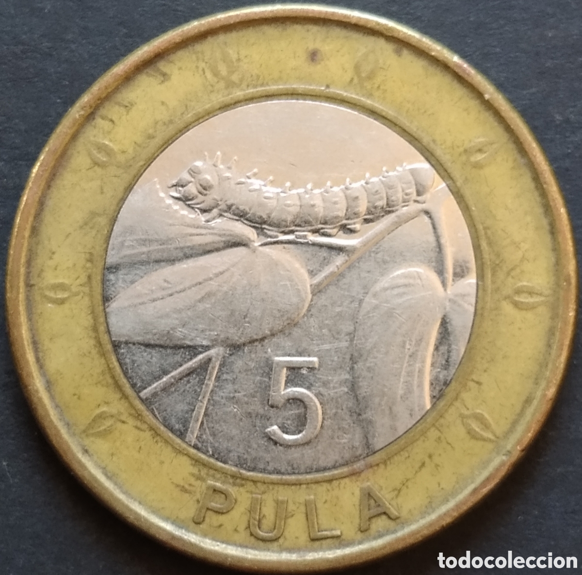 Monedas antiguas de &Aacute;frica: MONEDA - BOTSUANA / BOTSWANA 5 PULA 2013 - Foto 1