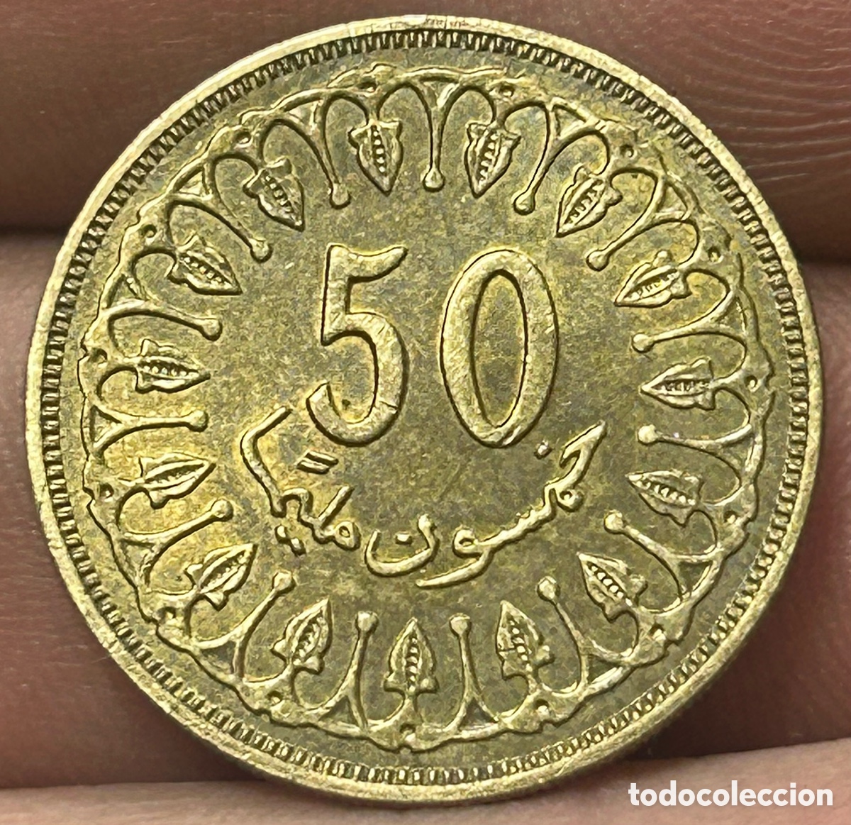 Monedas antiguas de &Aacute;frica: Moneda 50 millimes T&uacute;nez - Foto 1