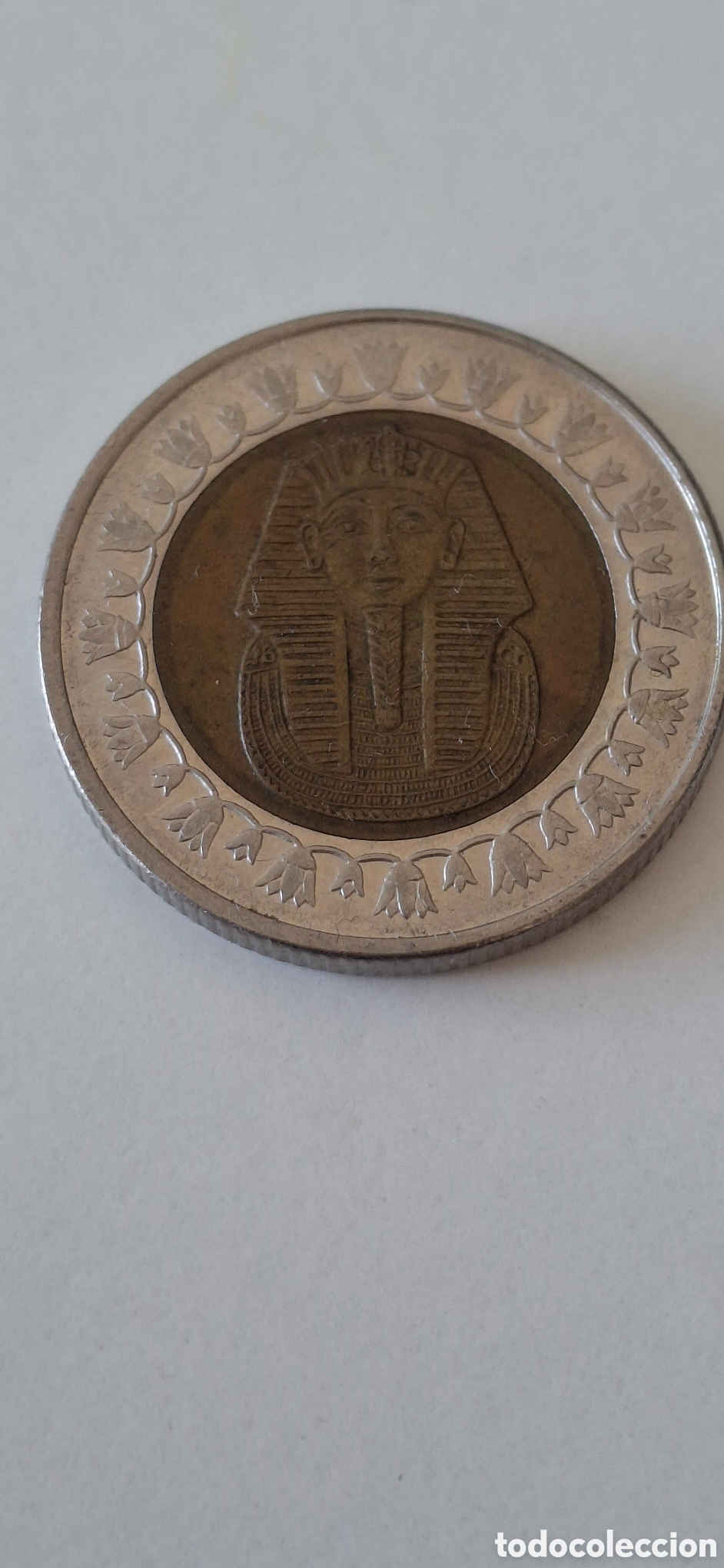 Monedas antiguas de &Aacute;frica: One Pound 2008 Egipto - Foto 2