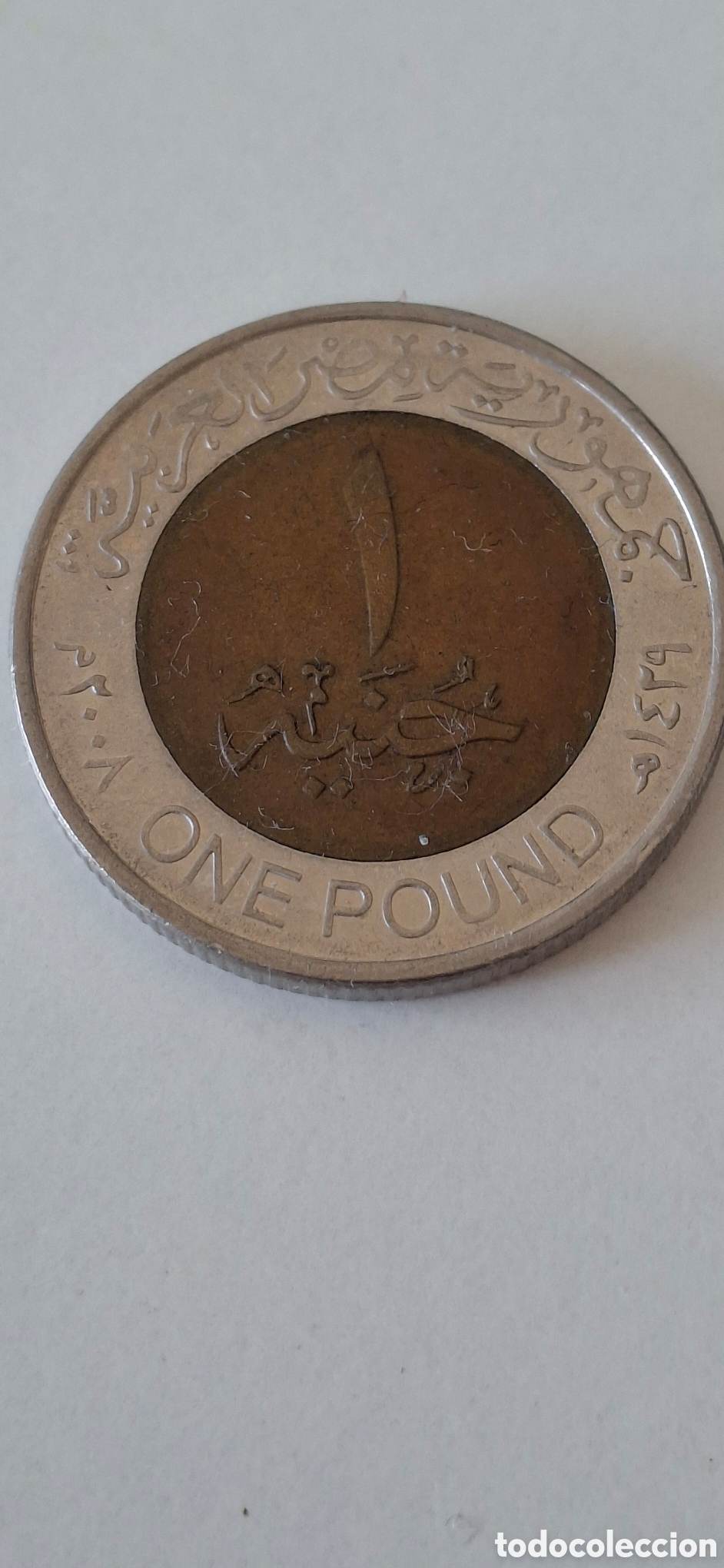 Monedas antiguas de &Aacute;frica: One Pound 2008 Egipto - Foto 1