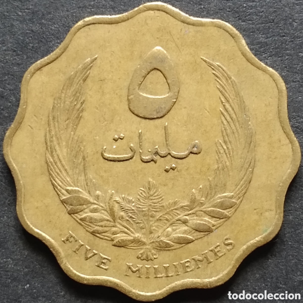 Monedas antiguas de &Aacute;frica: MONEDA - LIBIA 5 MILLIMES 1965 - Foto 1