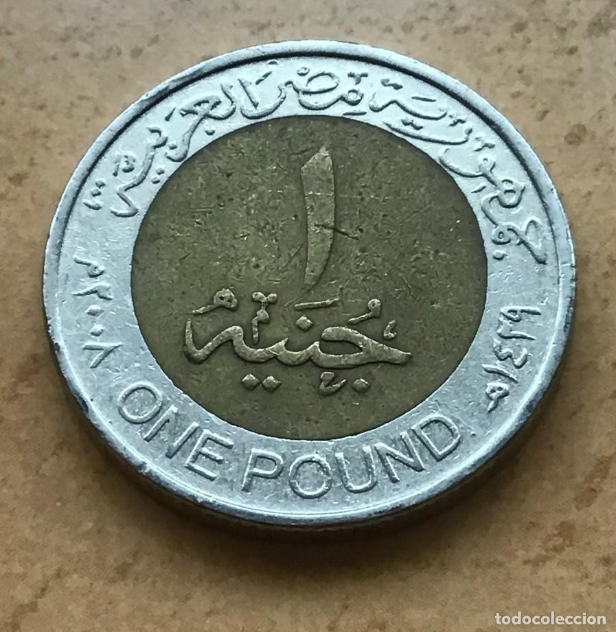 Monedas antiguas de &Aacute;frica: 1 libra de Egipto. A&ntilde;o 2008 - Foto 1