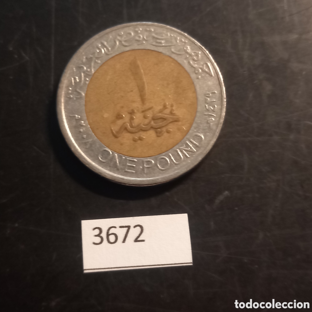 Monedas antiguas de &Aacute;frica: Egipto una libra 2008 - Foto 2