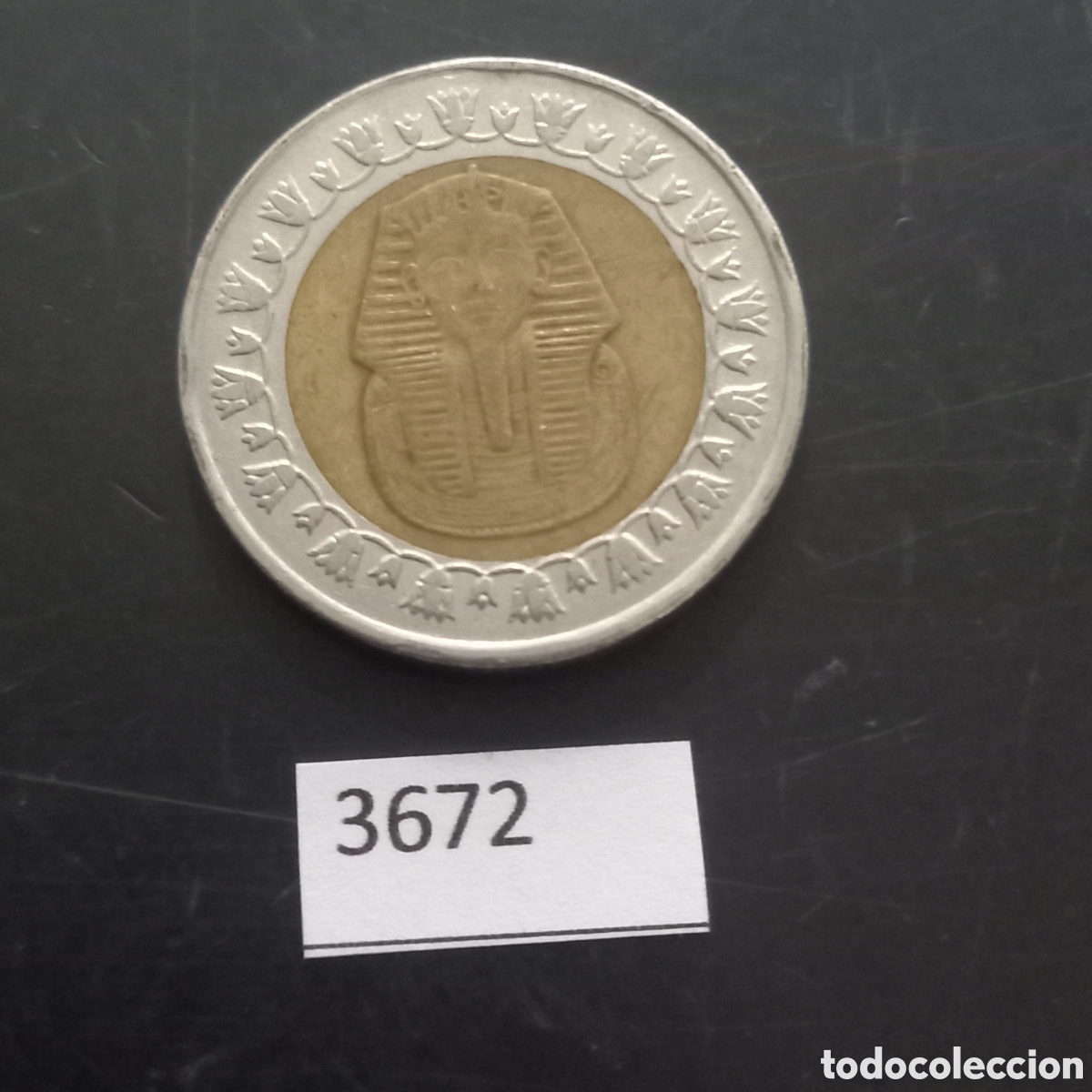 Monedas antiguas de &Aacute;frica: Egipto una libra 2008 - Foto 1