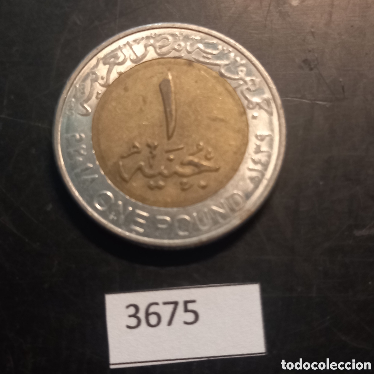 Monedas antiguas de &Aacute;frica: Egipto una libra 2018 - Foto 2