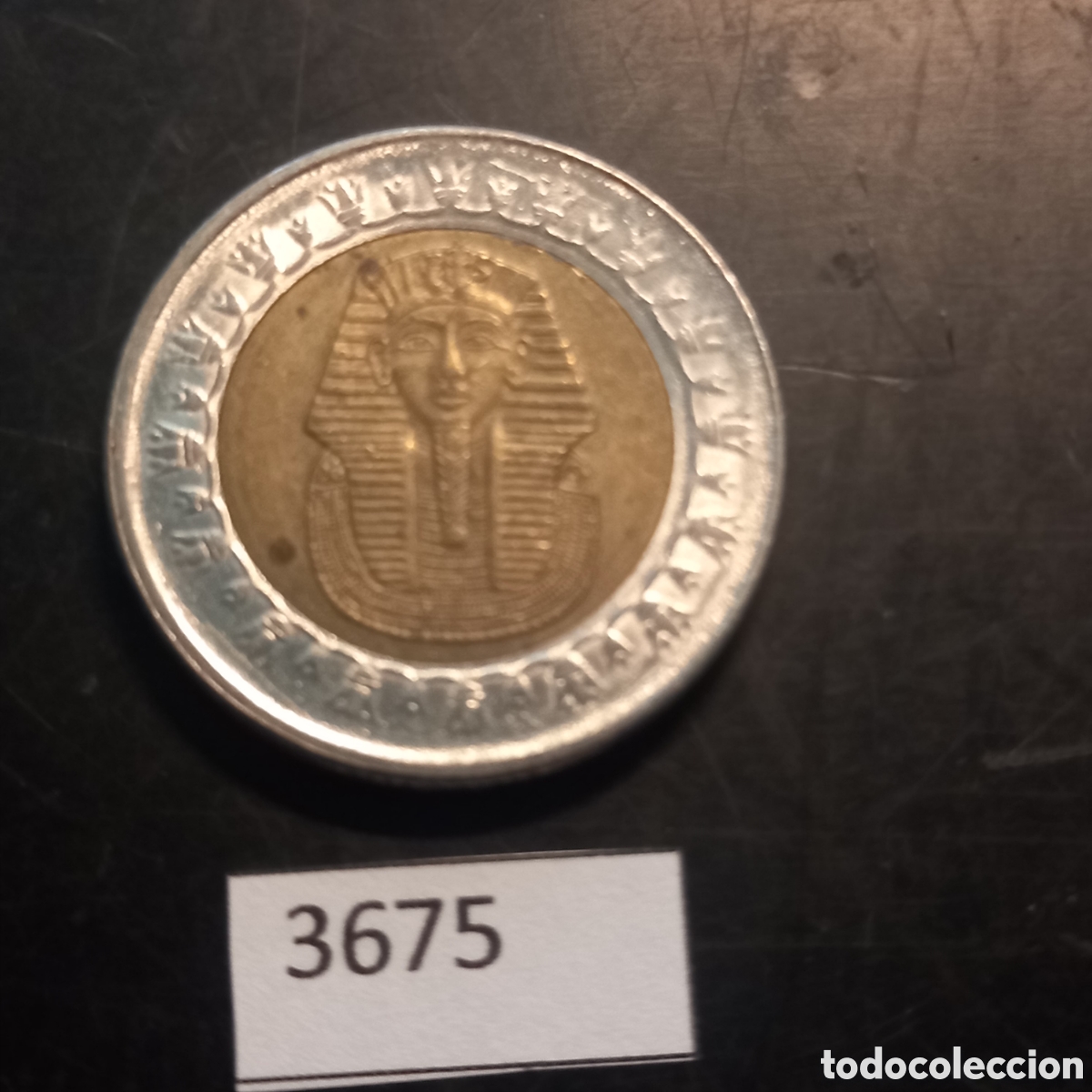 Monedas antiguas de &Aacute;frica: Egipto una libra 2018 - Foto 1