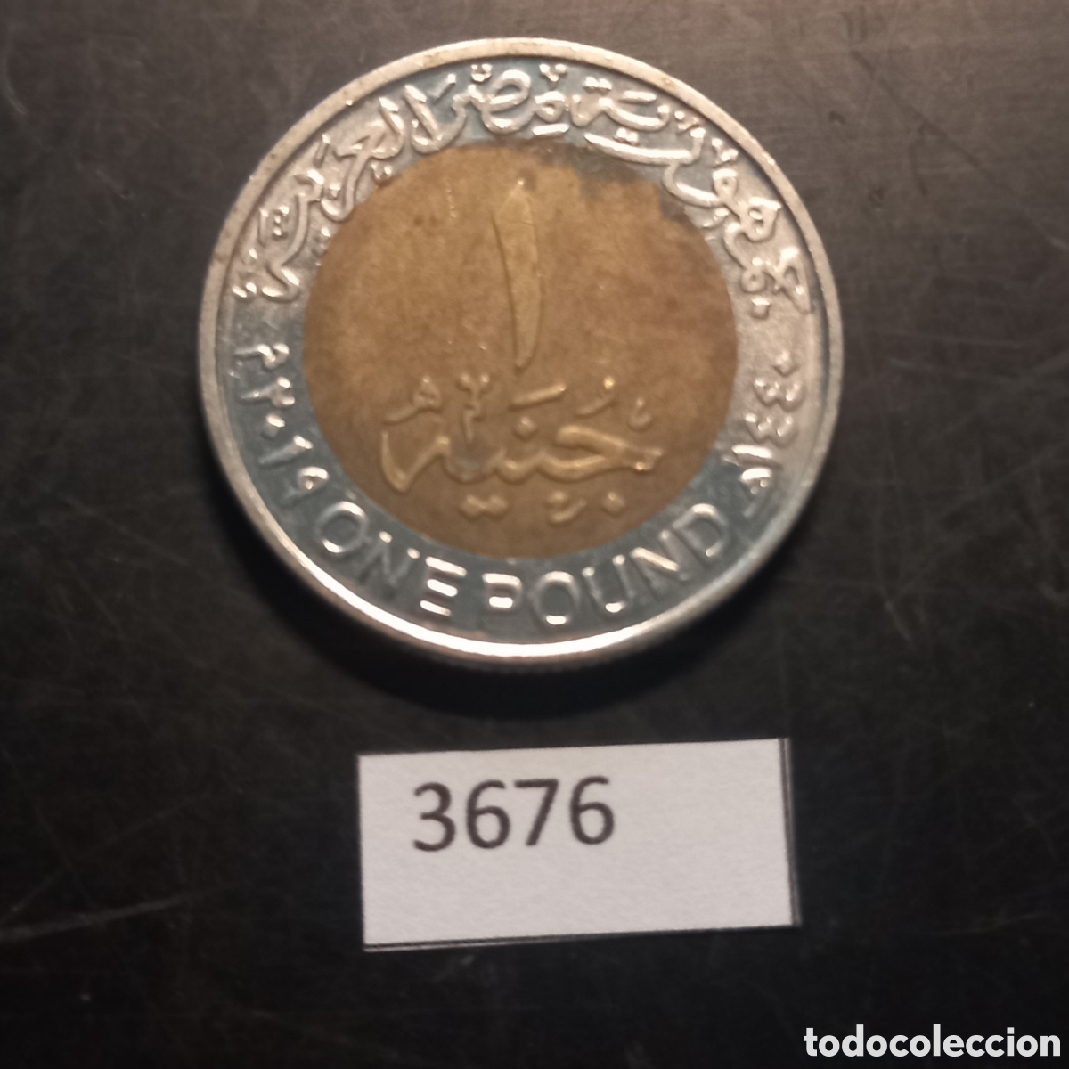Monedas antiguas de &Aacute;frica: Egipto una libra 2019 - Foto 2
