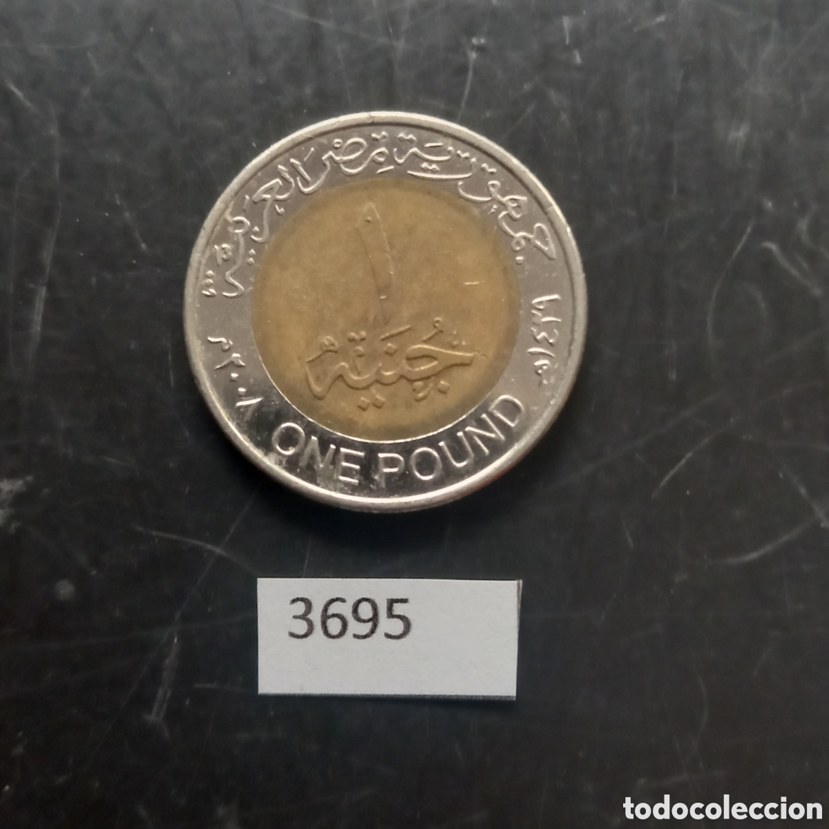 Monedas antiguas de &Aacute;frica: Egipto una libra 2008 - Foto 2