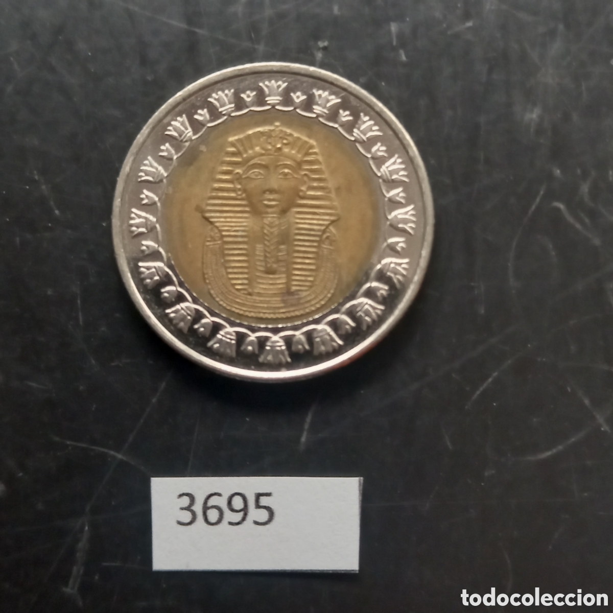 Monedas antiguas de &Aacute;frica: Egipto una libra 2008 - Foto 1