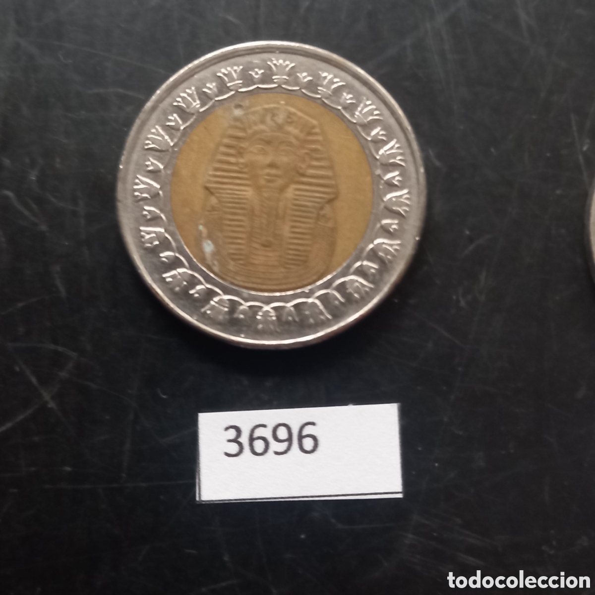 Monedas antiguas de &Aacute;frica: Egipto una libra 2007 - Foto 1