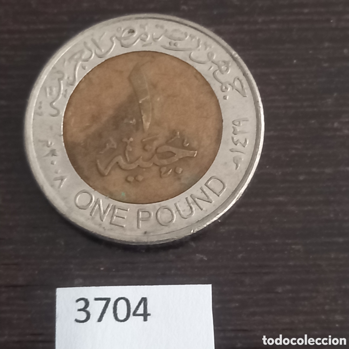 Monedas antiguas de &Aacute;frica: Egipto una libra 2008 - Foto 2