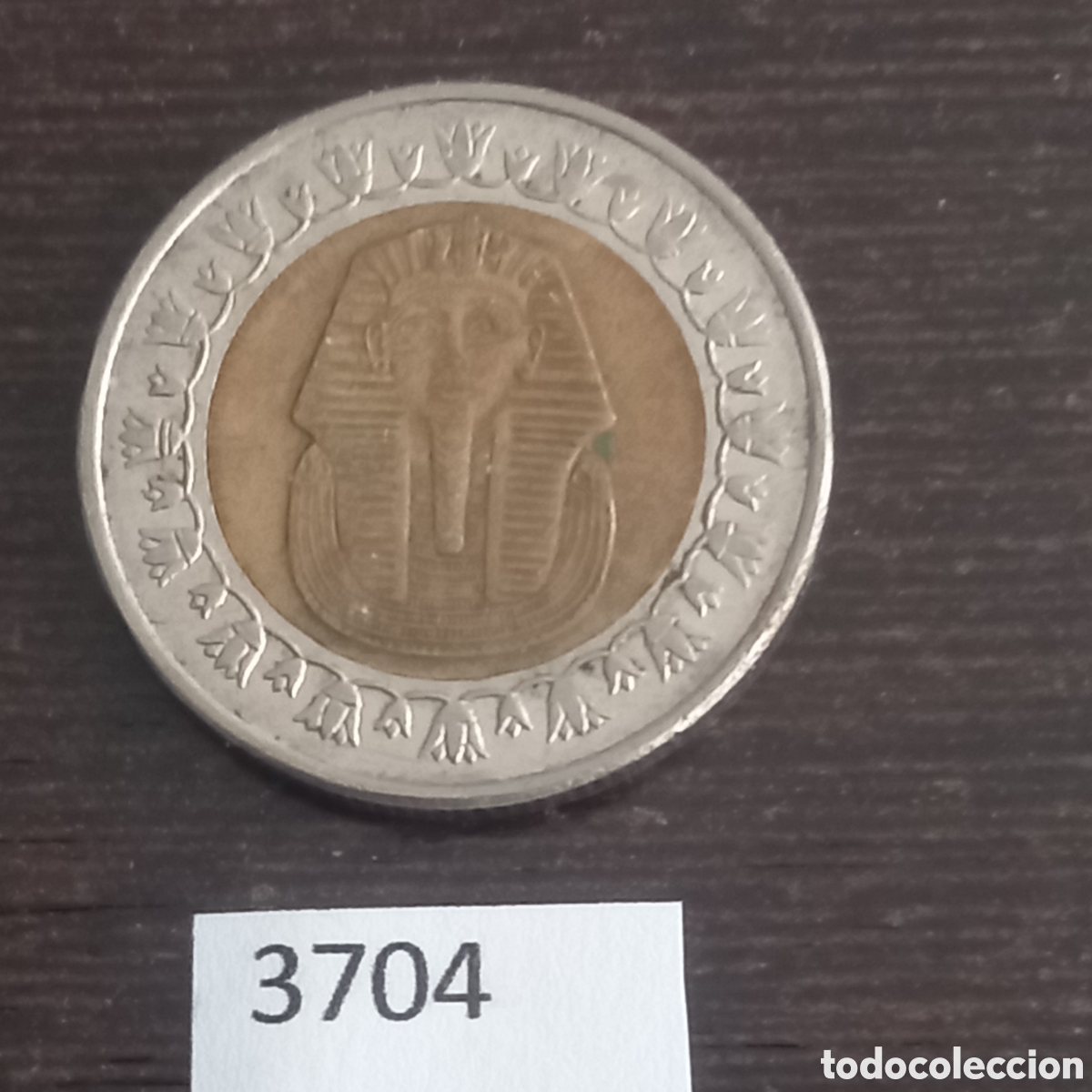 Monedas antiguas de &Aacute;frica: Egipto una libra 2008 - Foto 1