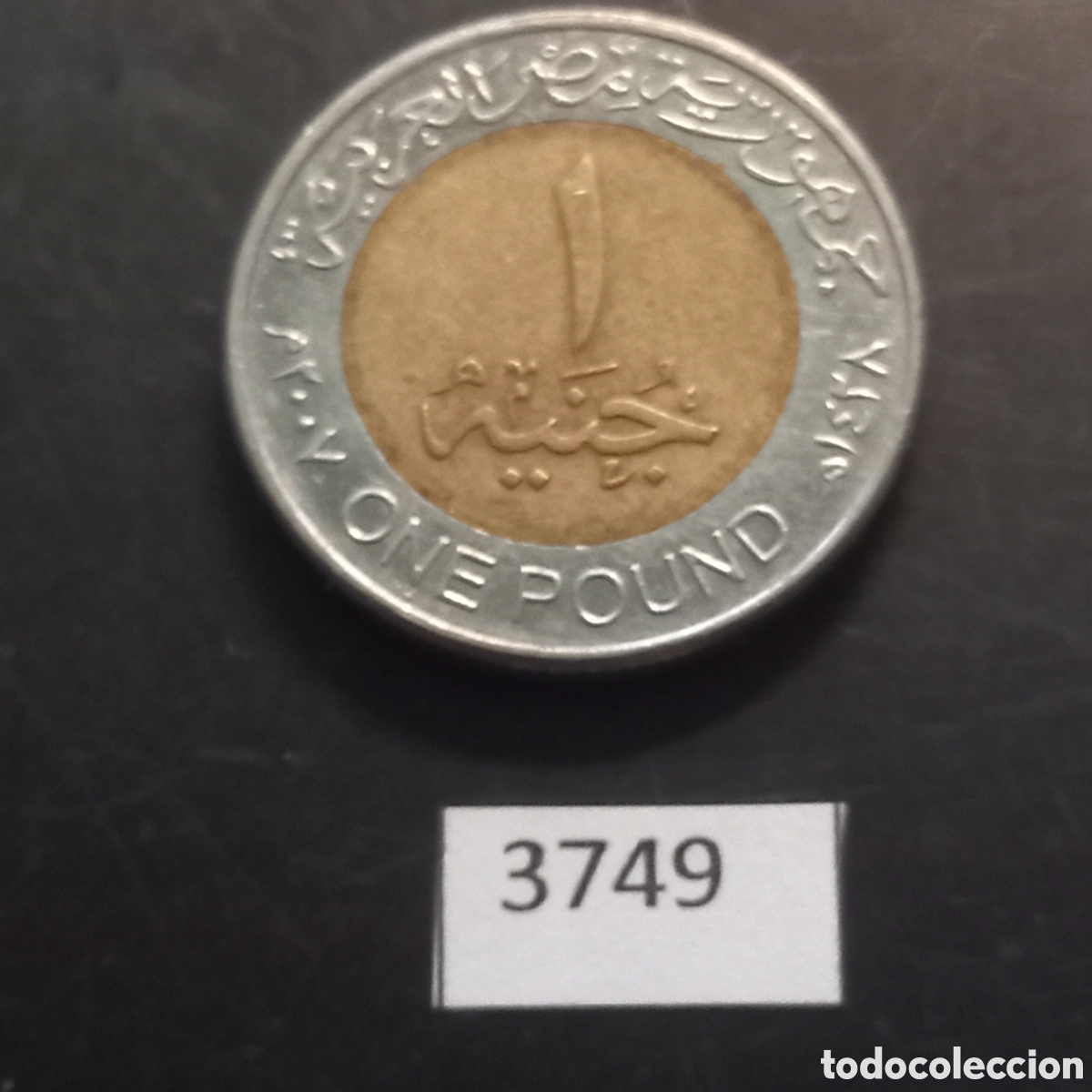 Monedas antiguas de &Aacute;frica: Egipto una libra 2007 - Foto 2