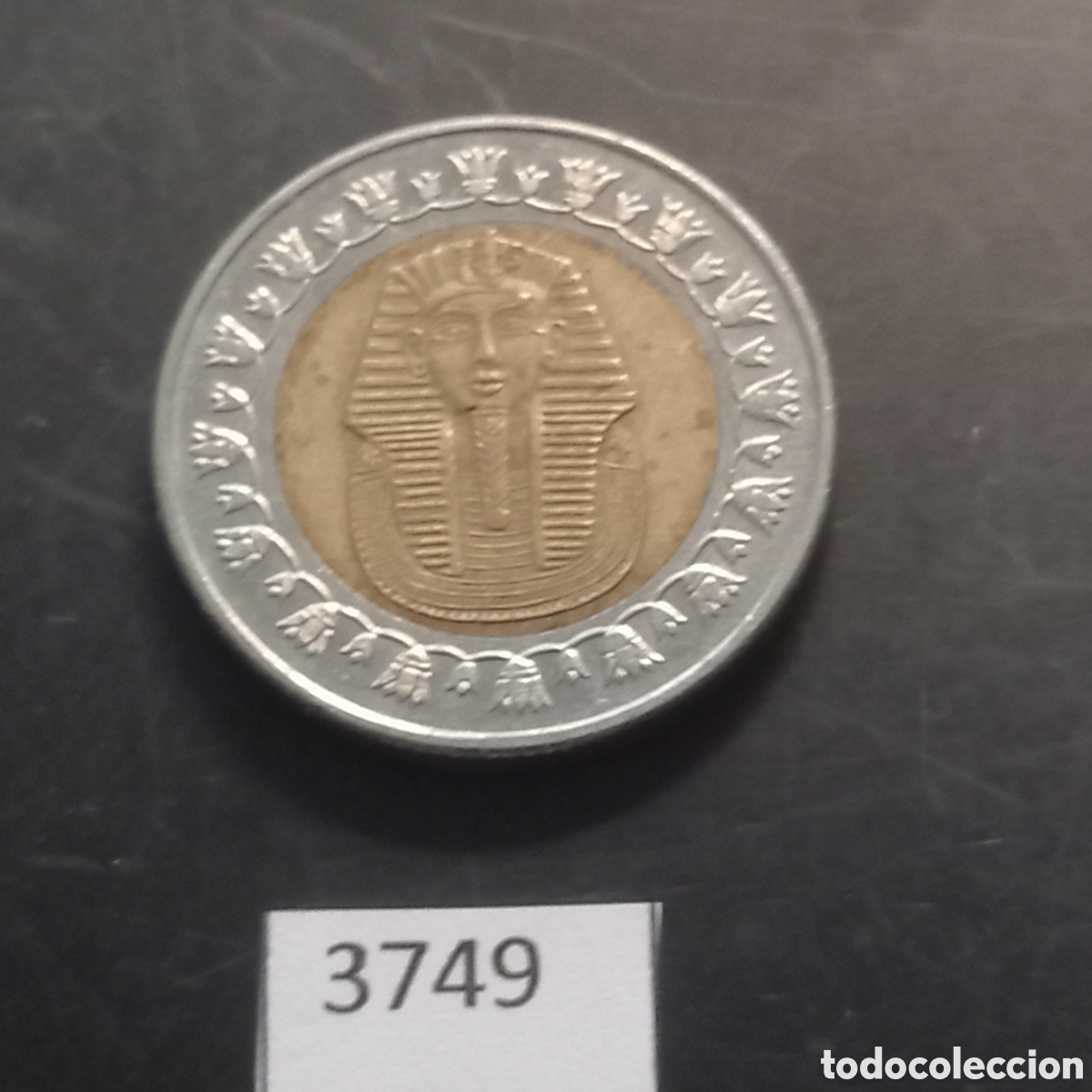 Monedas antiguas de &Aacute;frica: Egipto una libra 2007 - Foto 1