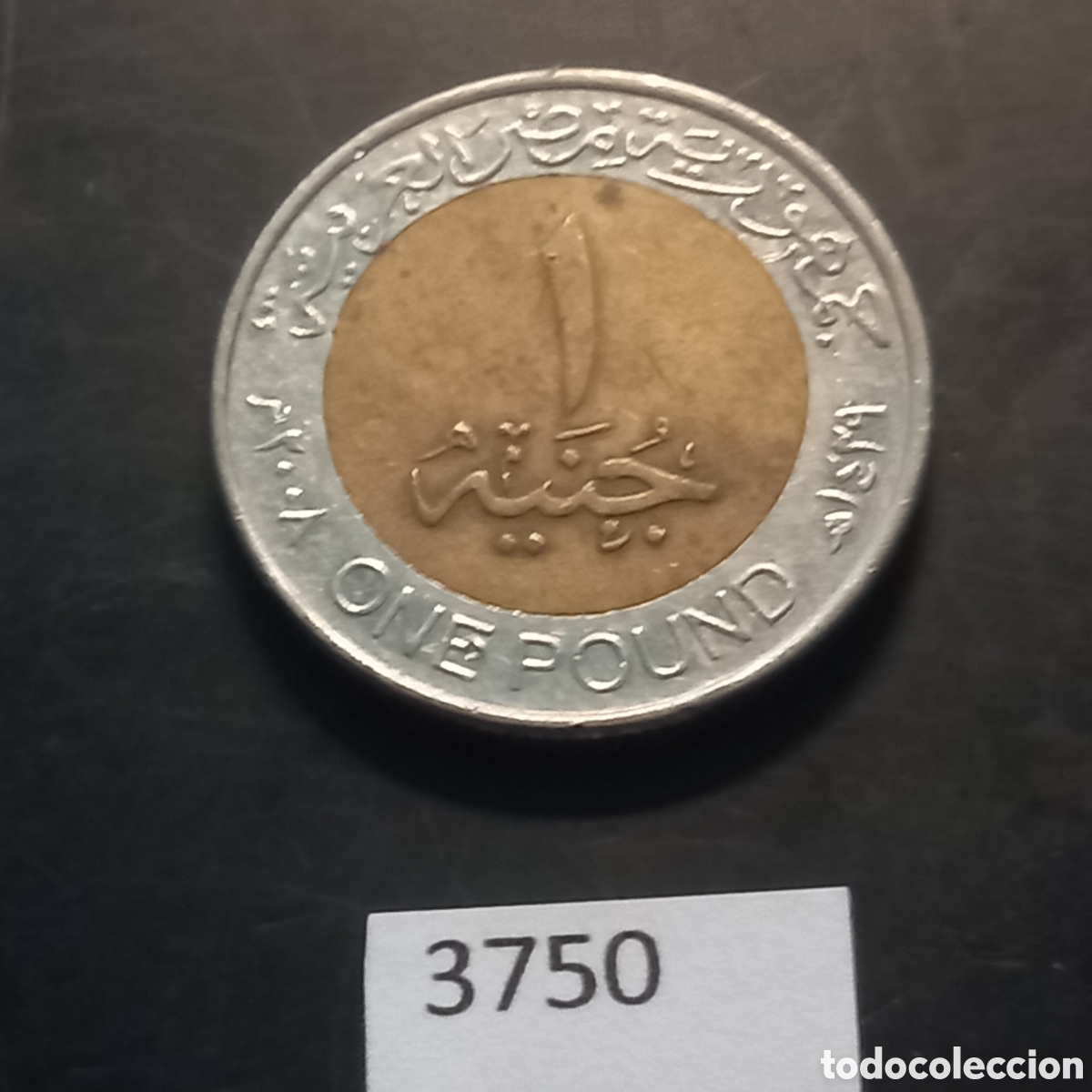 Monedas antiguas de &Aacute;frica: Egipto una libra 2008 - Foto 2