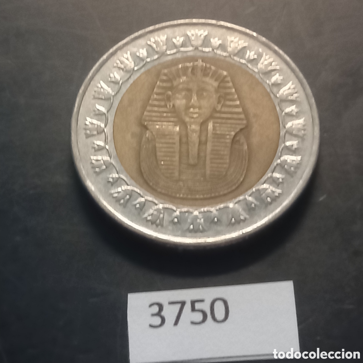 Monedas antiguas de &Aacute;frica: Egipto una libra 2008 - Foto 1