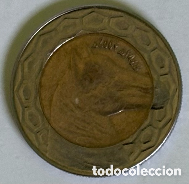 Monedas antiguas de &Aacute;frica: Argelia - Moneda 100 dinar 2007 - Foto 1
