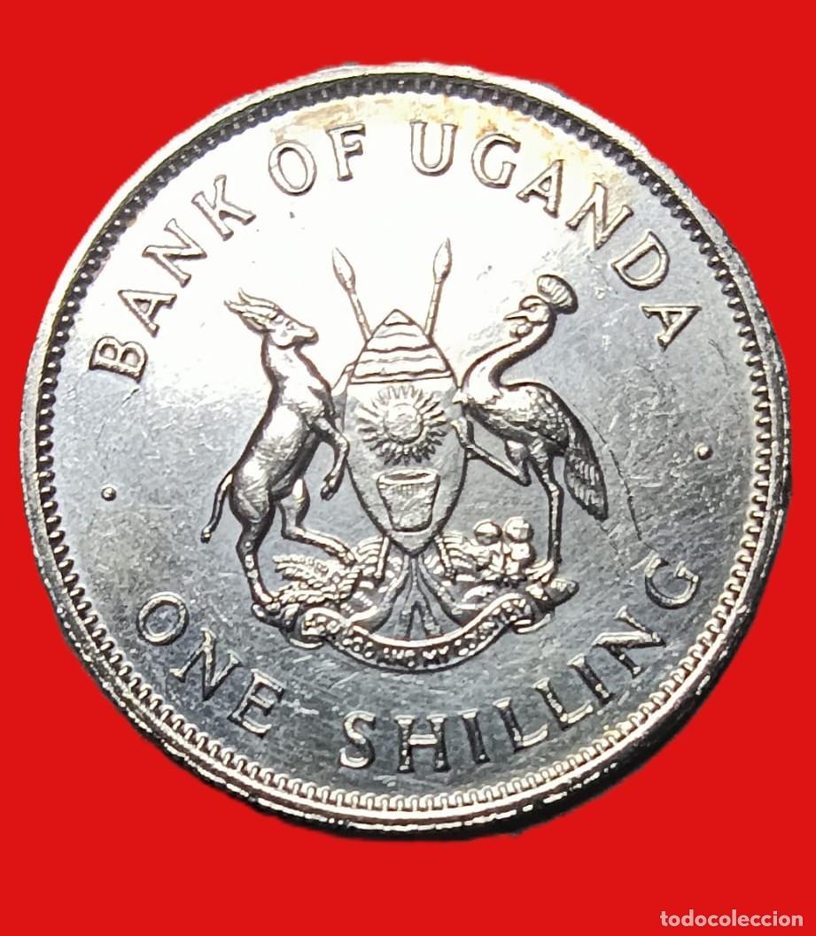 Monedas antiguas de &Aacute;frica: Uganda 1 Chelin 1976 - Foto 1