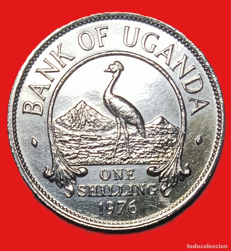 Monedas antiguas de &Aacute;frica: Uganda 1 Chelin 1976 - Foto 2