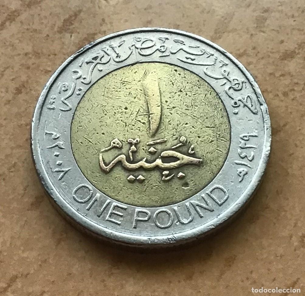 Monedas antiguas de &Aacute;frica: 1 libra de Egipto. A&ntilde;o 2008 - Foto 1